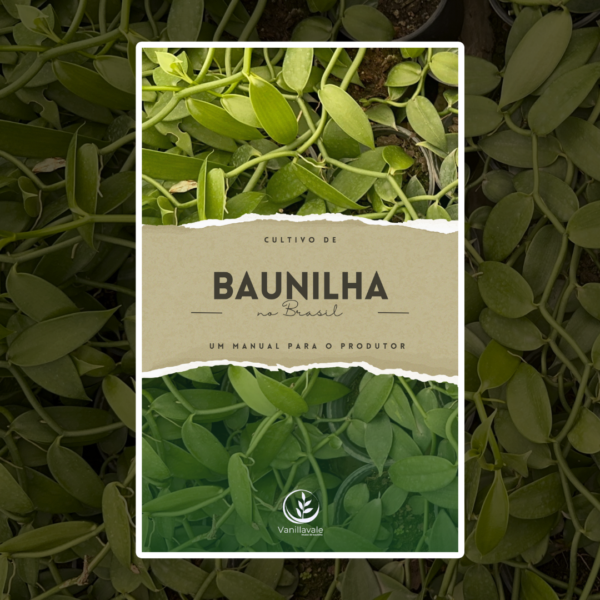 Baunilha – Um Manual para o Produtor (1ª edição)