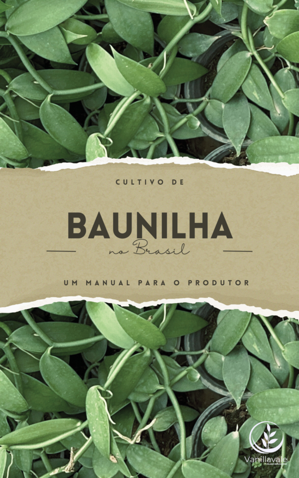 Baunilha – Um Manual para o Produtor (1ª edição) - Imagem 2